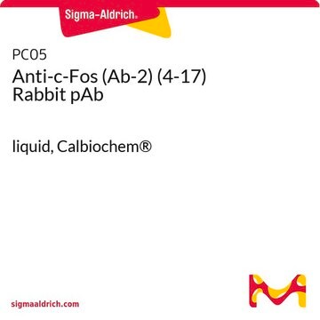 Anti-c-Fos (Ab-2) (4-17) Rabbit pAb liquid, Calbiochem&#174;