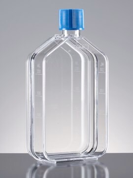 Corning&#174; Falcon&#174; Cell Culture Flask capacity 150&#160;mL, canted neck, graduated, 10 &#8209; 200&#160;mL, cap, blue vented