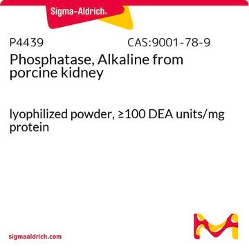 Phosphatase, Alkaline from porcine kidney lyophilized powder, &#8805;100&#160;DEA units/mg protein