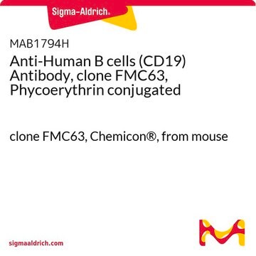 Anti-Human B cells (CD19) Antibody, clone FMC63, Phycoerythrin conjugated clone FMC63, Chemicon&#174;, from mouse