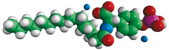 N-P Tyrosine PA Avanti Research&#8482; - A Croda Brand 800725P, powder