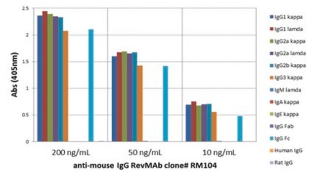 Rabbit Anti-Mouse IgG Antibody, clone RM104 clone RM104, from rabbit