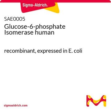 Glucose-6-phosphate Isomerase human recombinant, expressed in E. coli