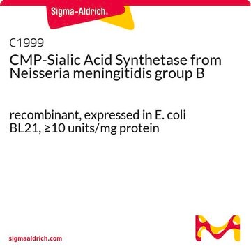 CMP-Sialic Acid Synthetase from Neisseria meningitidis group B recombinant, expressed in E. coli BL21, &#8805;10&#160;units/mg protein