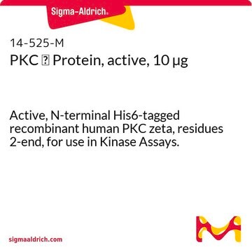 PKC &#950; Protein, active, 10 &#181;g Active, N-terminal His6-tagged recombinant human PKC zeta, residues 2-end, for use in Kinase Assays.