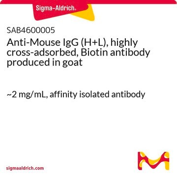 Anti-Mouse IgG (H+L), highly cross-adsorbed, Biotin antibody produced in goat ~2&#160;mg/mL, affinity isolated antibody