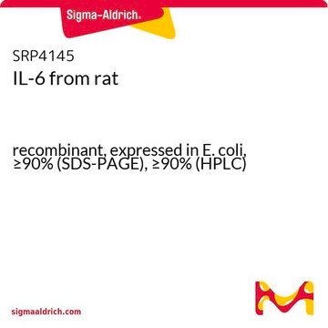 IL-6 from rat recombinant, expressed in E. coli, &#8805;90% (SDS-PAGE), &#8805;90% (HPLC)