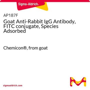 Goat Anti-Rabbit IgG Antibody, FITC conjugate, Species Adsorbed Chemicon&#174;, from goat