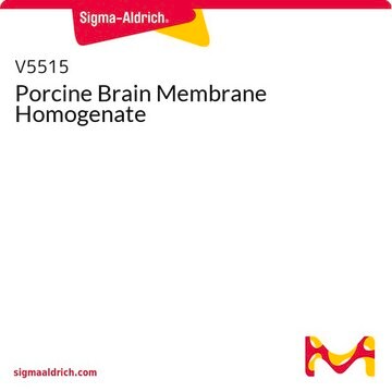 Porcine Brain Membrane Homogenate