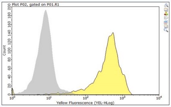 Anti-CD47 Antibody, clone PF3.1 clone PF3.1, from mouse