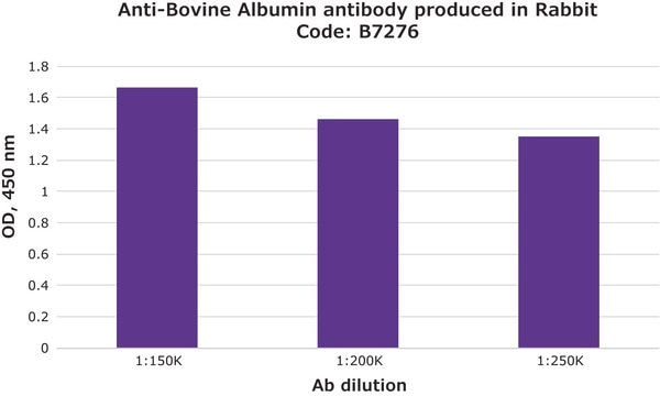 Anti-Bovine Albumin antibody produced in rabbit fractionated antiserum, lyophilized powder