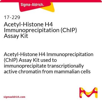 Acetyl-Histone H4 Immunoprecipitation (ChIP) Assay Kit Acetyl-Histone H4 Immunoprecipitation (ChIP) Assay Kit used to immunoprecipitate transcriptionally active chromatin from mammalian cells using anti-Acetyl-Histone H4, ChIP grade rabbit antiserum.