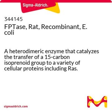 FPTase, Rat, Recombinant, E. coli A heterodimeric enzyme that catalyzes the transfer of a 15-carbon isoprenoid group to a variety of cellular proteins including Ras.