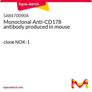 Monoclonal Anti-CD178 antibody produced in mouse clone NOK-1