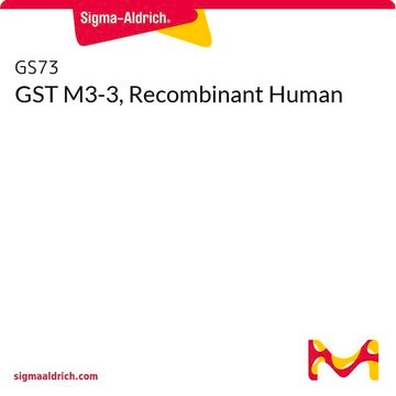 GST M3-3, Recombinant Human