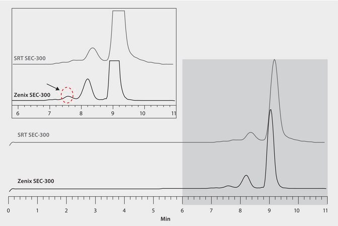 HPLC Analysis of Bovine Serum Albumin (BSA) on Zenix&#174; SEC-300 versus SRT&#174; SEC-300, Effect of Particle Size on Resolution application for HPLC