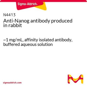 Anti-Nanog antibody produced in rabbit ~1&#160;mg/mL, affinity isolated antibody, buffered aqueous solution