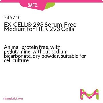 Anti-PCCA antibody produced in rabbit affinity isolated antibody