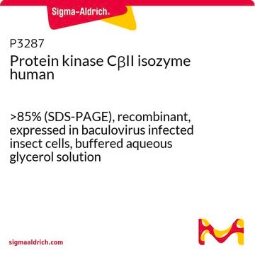 Protein kinase&#160;C&#946;II isozyme human &gt;85% (SDS-PAGE), recombinant, expressed in baculovirus infected insect cells, buffered aqueous glycerol solution