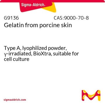 ゼラチン from porcine skin Type A, lyophilized powder, &#947;-irradiated, BioXtra, suitable for cell culture