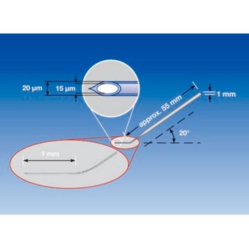 Eppendorf&#174; TransferTip (ES) sterile, set of 25&#160;ea