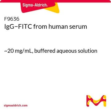 IgG&#8722;FITC from human serum ~20&#160;mg/mL, buffered aqueous solution