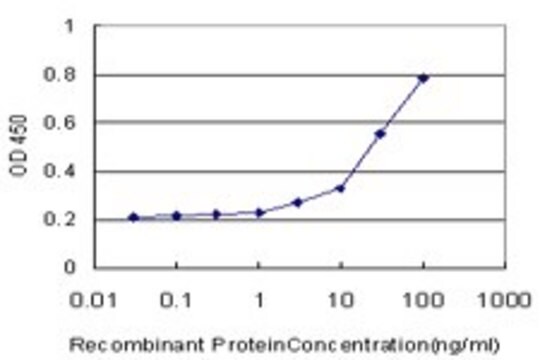 Monoclonal Anti-PHKG2 antibody produced in mouse clone 2B4, purified immunoglobulin, buffered aqueous solution