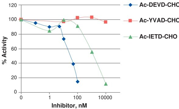 Caspase 3 human &#8805;90% (SDS-PAGE), recombinant, expressed in E. coli (C-terminal histidine-tagged), buffered aqueous glycerol solution, &#8805;1.0&#160;units/mg protein