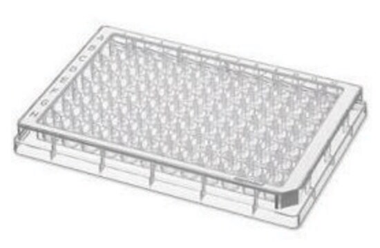 Eppendorf&#174; Microplate 96/V-PP sterile (PCR clean), V-bottom clear wells, white border, pkg of 80&#160;plates (5 bags x 16 plates)