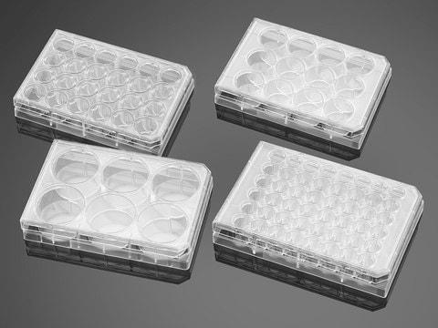 Corning&#174; BioCoat&#8482; Poly-D-Lysine 48 Well Clear Flat Bottom TC-Treated Multiwell Plate, with Lid well size 48&#160;wells, flat bottom clear wells, lid