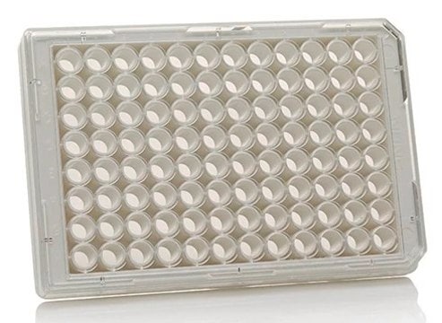 Nunc&#174; MicroWell 96 well optical bottom plates 96 well optical bottom plate, cell cultured treated, 400uL/well, white, 30/cs