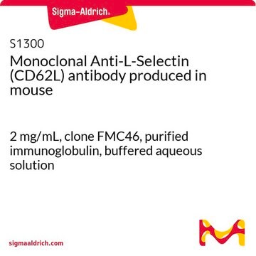 Monoclonal Anti-L-Selectin (CD62L) antibody produced in mouse 2&#160;mg/mL, clone FMC46, purified immunoglobulin, buffered aqueous solution