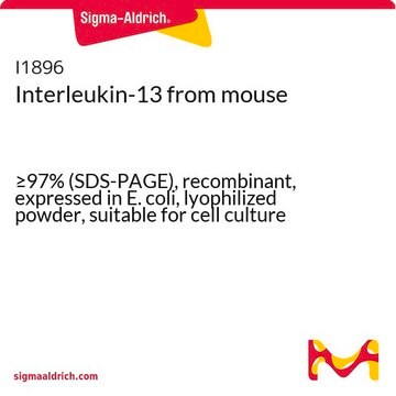 Interleukin-13 from mouse &#8805;97% (SDS-PAGE), recombinant, expressed in E. coli, lyophilized powder, suitable for cell culture