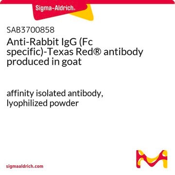 Anti-Rabbit IgG (Fc specific)-Texas Red&#174; antibody produced in goat affinity isolated antibody, lyophilized powder