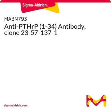 Anti-PTHrP (1-34) Antibody, clone 23-57-137-1