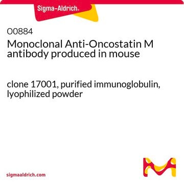 Monoclonal Anti-Oncostatin M antibody produced in mouse clone 17001, purified immunoglobulin, lyophilized powder