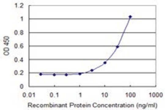 Monoclonal Anti-DPAGT1 antibody produced in mouse clone 1G1, purified immunoglobulin, buffered aqueous solution