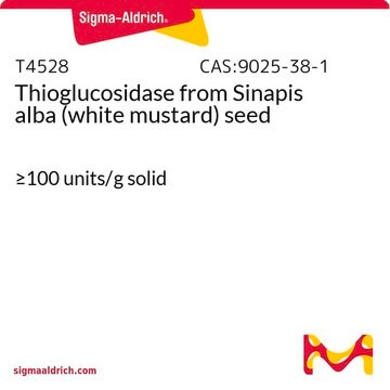 チオグルコシダーゼ Sinapis alba（シロガラシ）種子由来 &#8805;100&#160;units/g solid