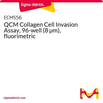 QCM Collagen Cell Invasion Assay, 96-well (8 µm), fluorimetric