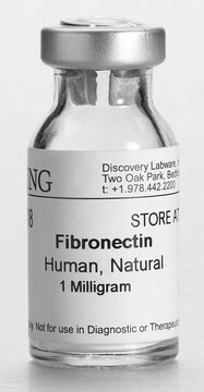 Corning&#174; Fibronectin from human, pack of 1&#160;mg