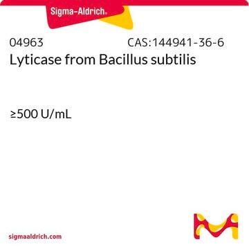 Lyticase Bacillus subtilis（枯草菌)由来 &#8805;500&#160;U/mL