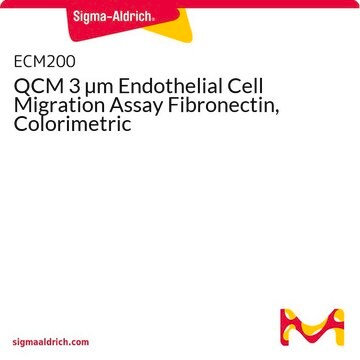 QCM 3 &#181;m Endothelial Cell Migration Assay Fibronectin, Colorimetric