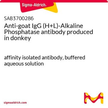 Anti-goat IgG (H+L)-Alkaline Phosphatase antibody produced in donkey affinity isolated antibody, buffered aqueous solution