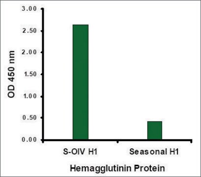 Anti-Swine H1N1 Hemagglutinin antibody produced in rabbit affinity isolated antibody, buffered aqueous solution