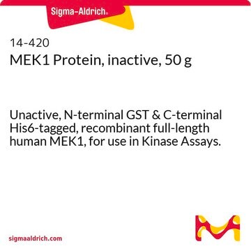 MEK1 Protein, inactive, 50 g Unactive, N-terminal GST &amp; C-terminal His6-tagged, recombinant full-length human MEK1, for use in Kinase Assays.