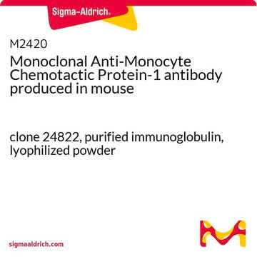 Monoclonal Anti-Monocyte Chemotactic Protein-1 antibody produced in mouse clone 24822, purified immunoglobulin, lyophilized powder