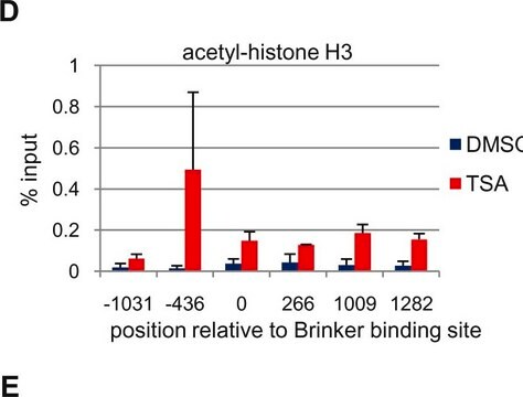 Anti-acetyl-Histone H3 (Lys9) Antibody Upstate&#174;, from rabbit