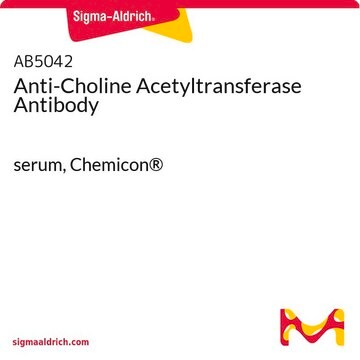 Anti-Choline Acetyltransferase Antibody serum, Chemicon&#174;