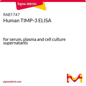 Human TIMP-3 ELISA for serum, plasma and cell culture supernatants