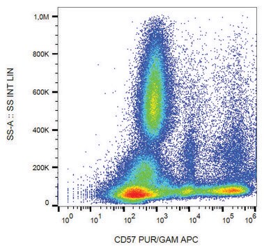 Monoclonal Anti-CD57 antibody produced in mouse clone TB01